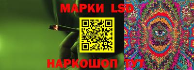 крисы Нальчик