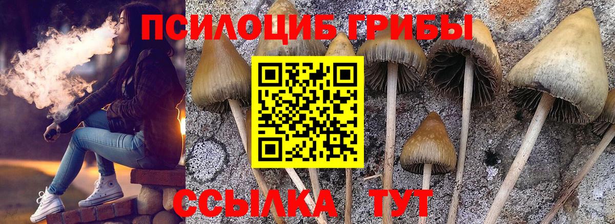 Углич  Галлюциногенные грибы Psilocybine cubensis  Вход с VPN  Псилоцибиновые грибы Psilocybine cubensis 