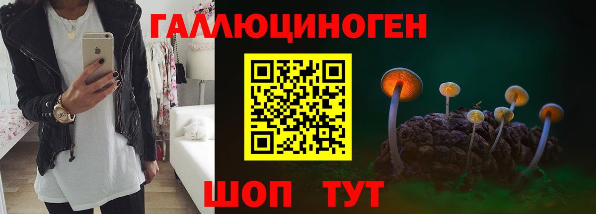 Галлюциногенные грибы прущие грибы Углич