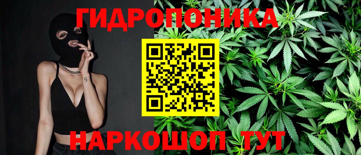 Бошки Шишки планчик Углич